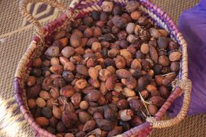 Secretele unei pieli frumoase, dezvăluite de natură 