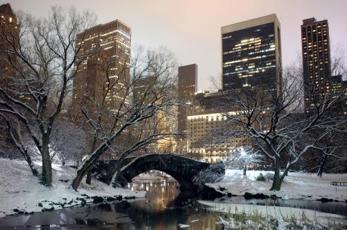 Zapada in New York