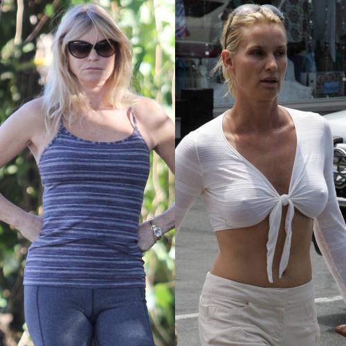 Goldie Hawn şi Nicolette Sheridan 