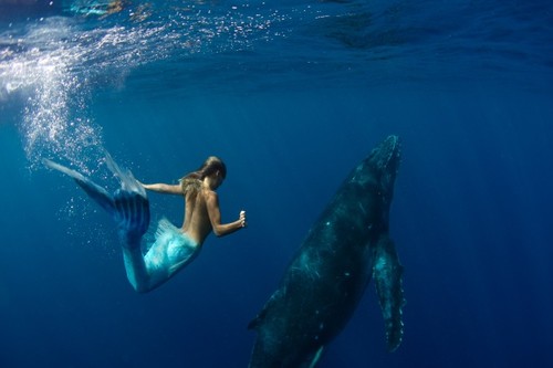 Foto incredibile: Hannah Fraser, femeia-sirena ce dansează cu balenele