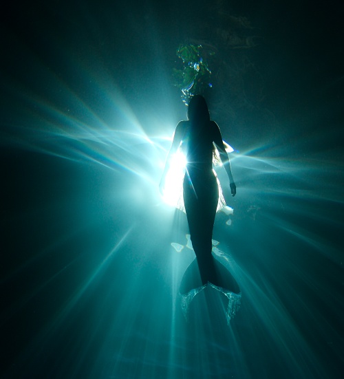 Foto incredibile: Hannah Fraser, femeia-sirena ce dansează cu balenele