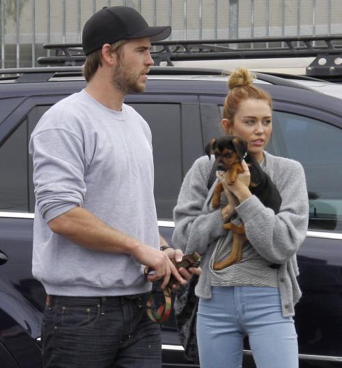 Miley Cyrus s-a logodit cu Liam Hemsworth. Cele mai frumoase poze cu cei doi