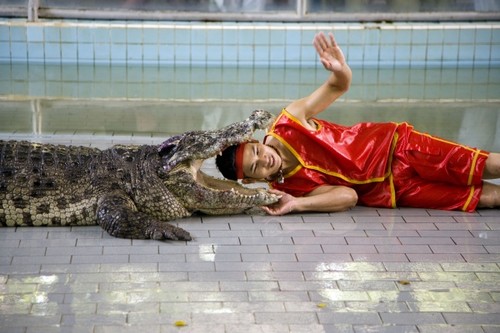 Foto: Şocant! Zâmbeşte în timp ce-şi bagă capul în gura unui crocodil viu!