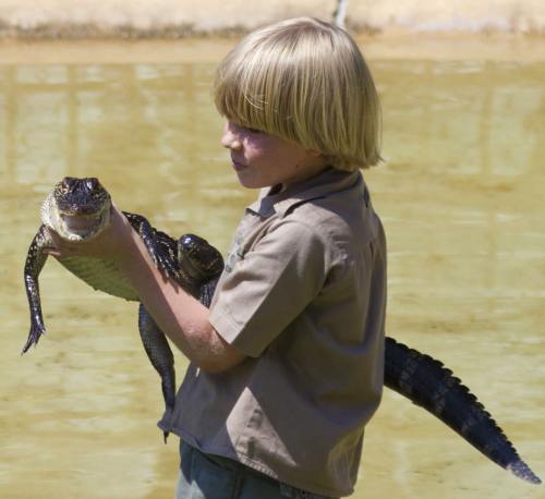 Pe urmele tatălui. Fiul lui Steve Irwin, hrăneşte crocodilii la 8 ani
