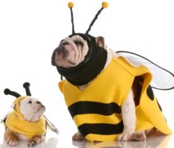 Halloween: De unde închiriezi un costum şi cât te costă