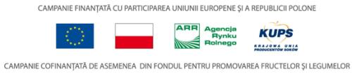 (P) Mănâncă 5 porţii de fructe și legume pe zi – ai grijă de “decorul” interiorului tău