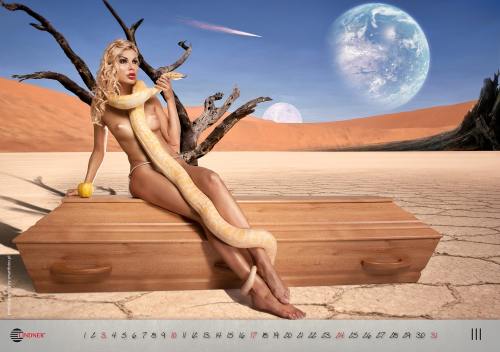 Artă sau prost gust? Calendare sexy cu…sicrie