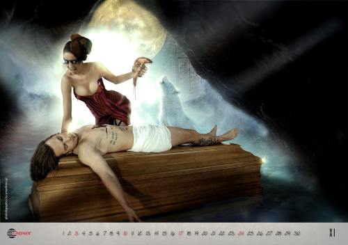Artă sau prost gust? Calendare sexy cu…sicrie
