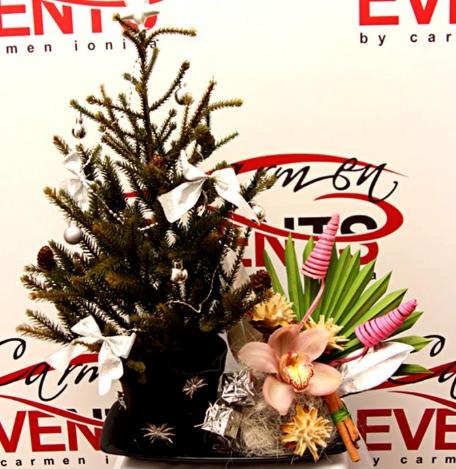 (P) Flowers by Carmen Ioniţă, aranjamente speciale pentru Crăciun