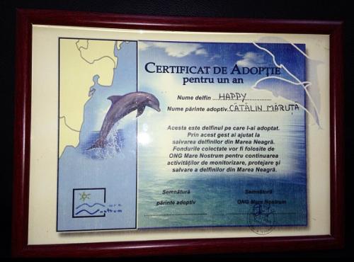 Cătălin Măruţă, din nou tătic: a adoptat un delfin