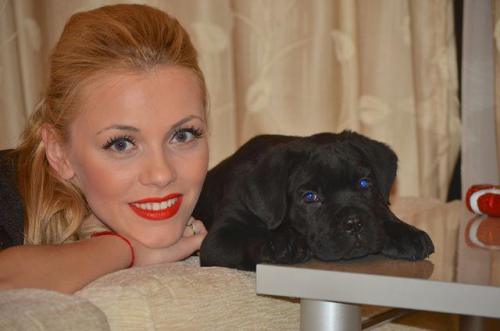 andreea ibacka si tiara