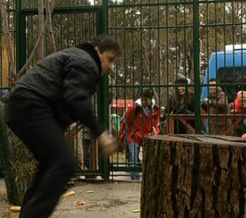 Poze: Cum a ajuns Claudiu Bleonţ, exponat de lux la Zoo!