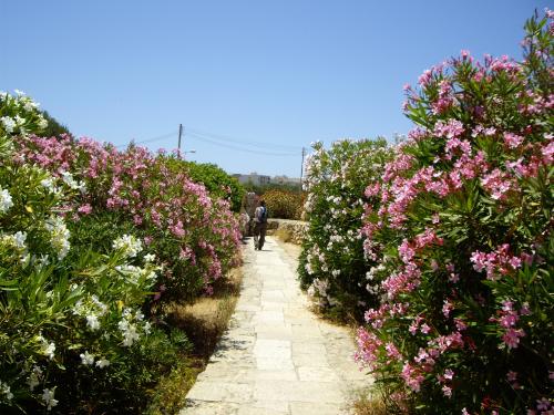 (P) În Malta, pentru o vacanţă de poveste