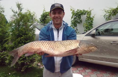 chef sorin bontea