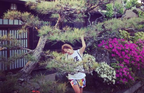 delia matache vacanta in asia