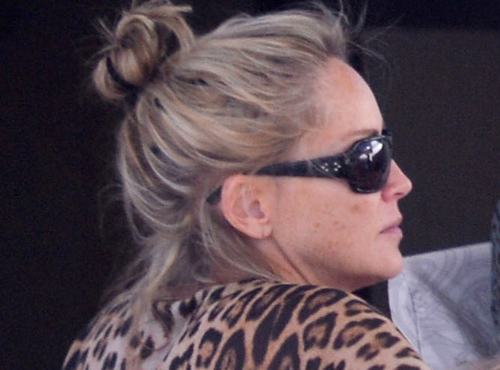 sharon stone