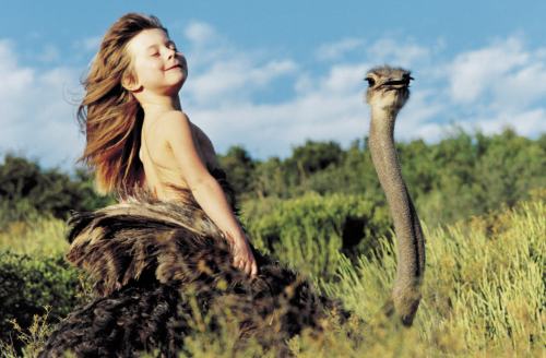 tippi degre
