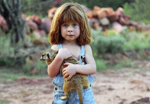 tippi degre
