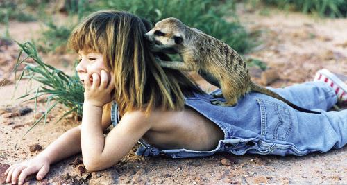 tippi degre