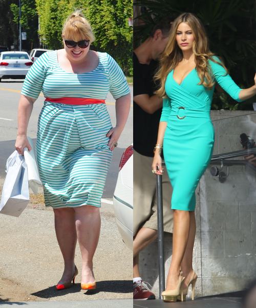 rebel wilson sofia vergara