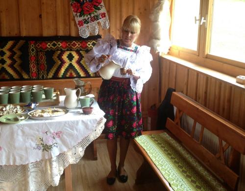 elena udrea in maramures