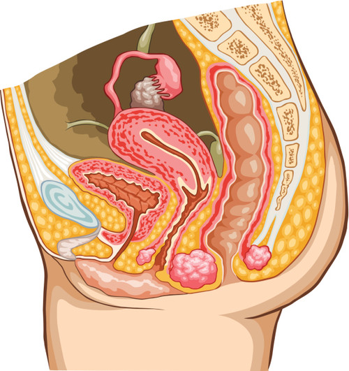 6 lucruri pe care nu le ştiai despre clitoris