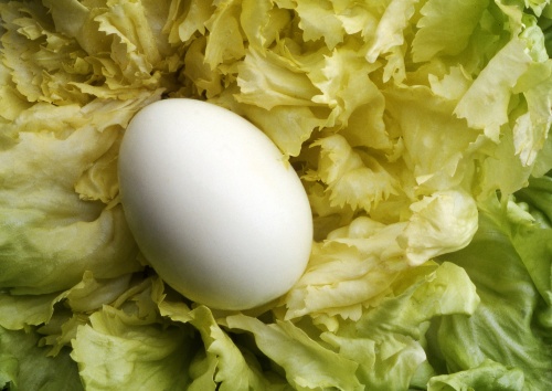 Cum să slăbeşti sănătos cu 5 alimente minune. Află de la Florin Neby!