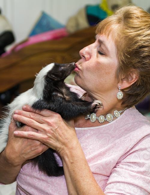 Poze: animale haioase care au devenit celebre