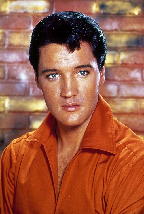 elvis presley