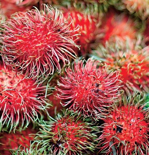 Remedii naturale pentru mai multă energie