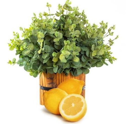 Cum scapi de ţânţari cu uleiuri naturale. Trucuri la îndemâna oricui