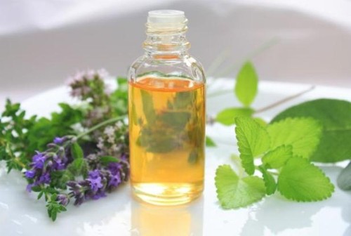 Cum scapi de ţânţari cu uleiuri naturale. Trucuri la îndemâna oricui