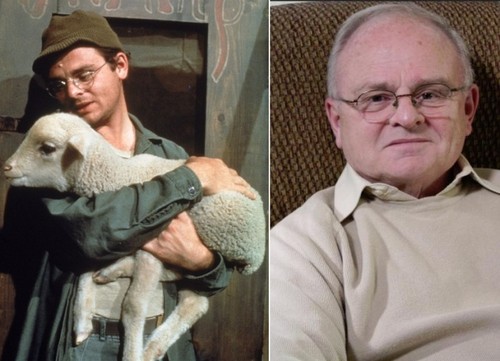 Îţi mai aminteşti de "M*A*S*H"? Cum arată actorii acum, după 31 de ani