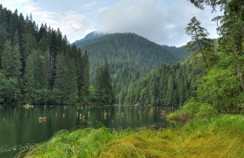 Lacuri cu Fainoşag pe care merită să le vizitezi cu familia într-un weekend