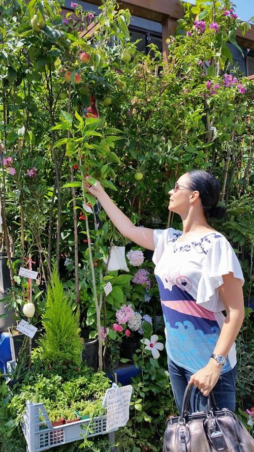 Adevărată aventură! Andreea Marin şi-a adus pomii fructiferi din Turcia