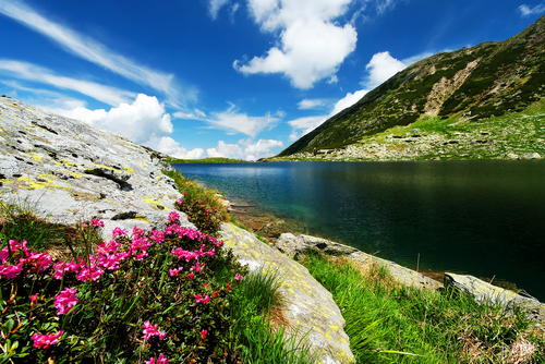Locuri cu Fainoşag de vizitat cu prietenii în vacanţă