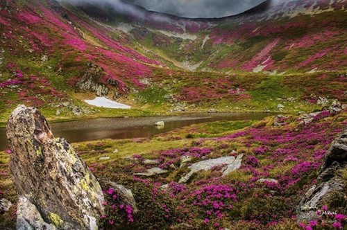 Fotografia unui român de 18 ani, publicată în National Geographic. Vezi ce peisaj minunat a surprins