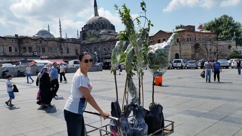 Un colţ de rai! Cum şi-a decorat grădina Adreea Marin | Foto