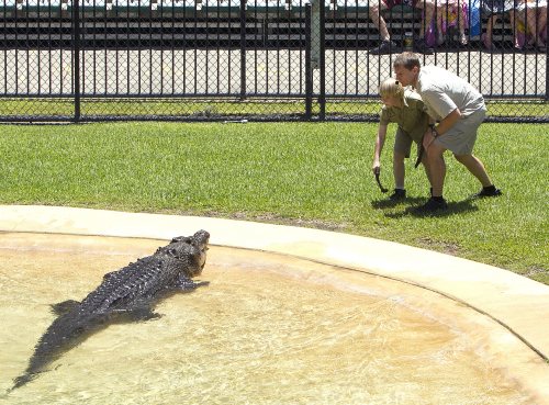 Fiul lui Steve Irwin, la un pas de a fi muşcat de un crocodil