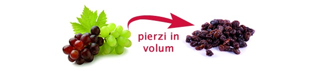 Cellulem Block