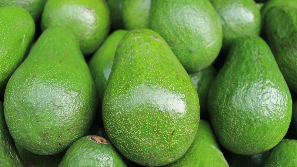 avocado