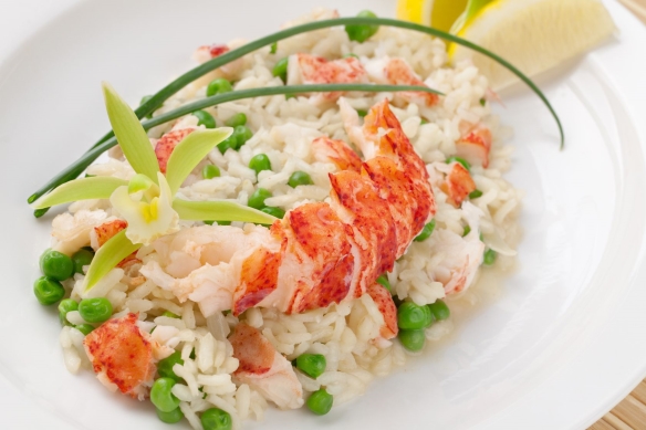 homar risotto