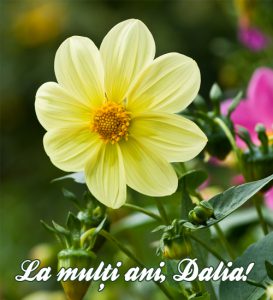 mesaj de florii la multi ani dalia