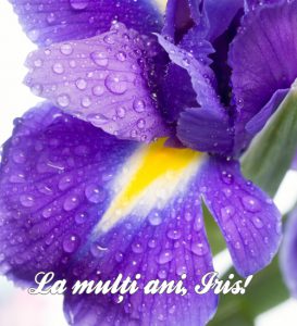 mesaj de florii la multi ani iris