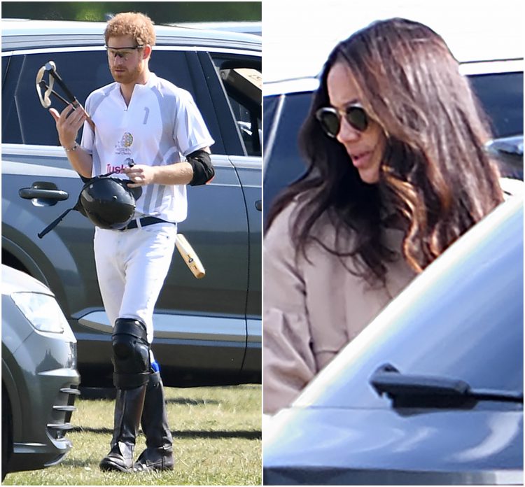 Printul Harry si Meghan Markle