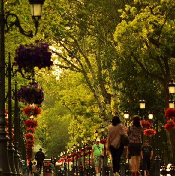 Parcul Mogosoaia