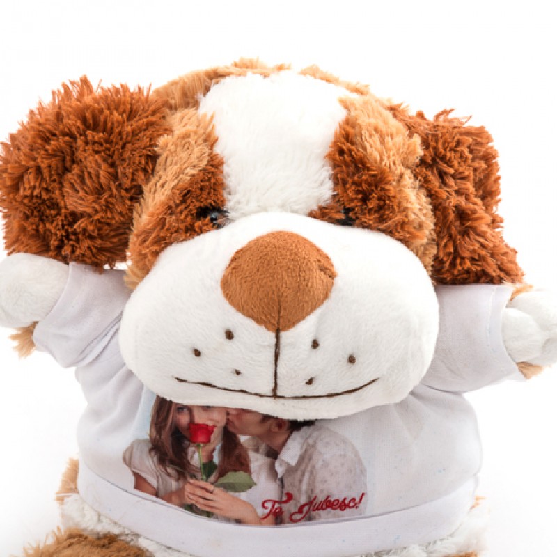 cadouri personalizate de valentine's day. jucarie de plus personalizata