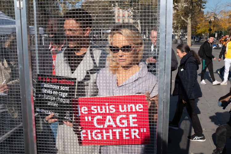 Pamela Anderson, alături de un politican francez, închisă într-o cușcă la Paris