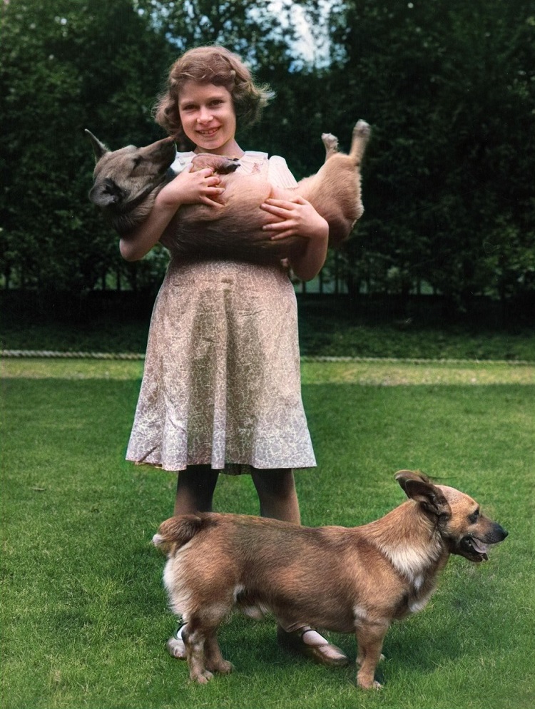Printesa Elisabeta in jurul varstei de 7 ani, fotografiata cu doi caini corgi. Pe unul dintre ei il tine in brate.