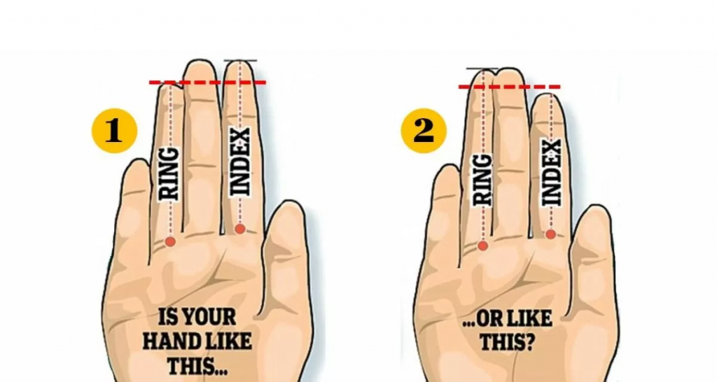 Ce înseamnă dacă ai degetul arătător mai lung decât inelarul sau viceversa. Ce joburi ţi se potrivesc